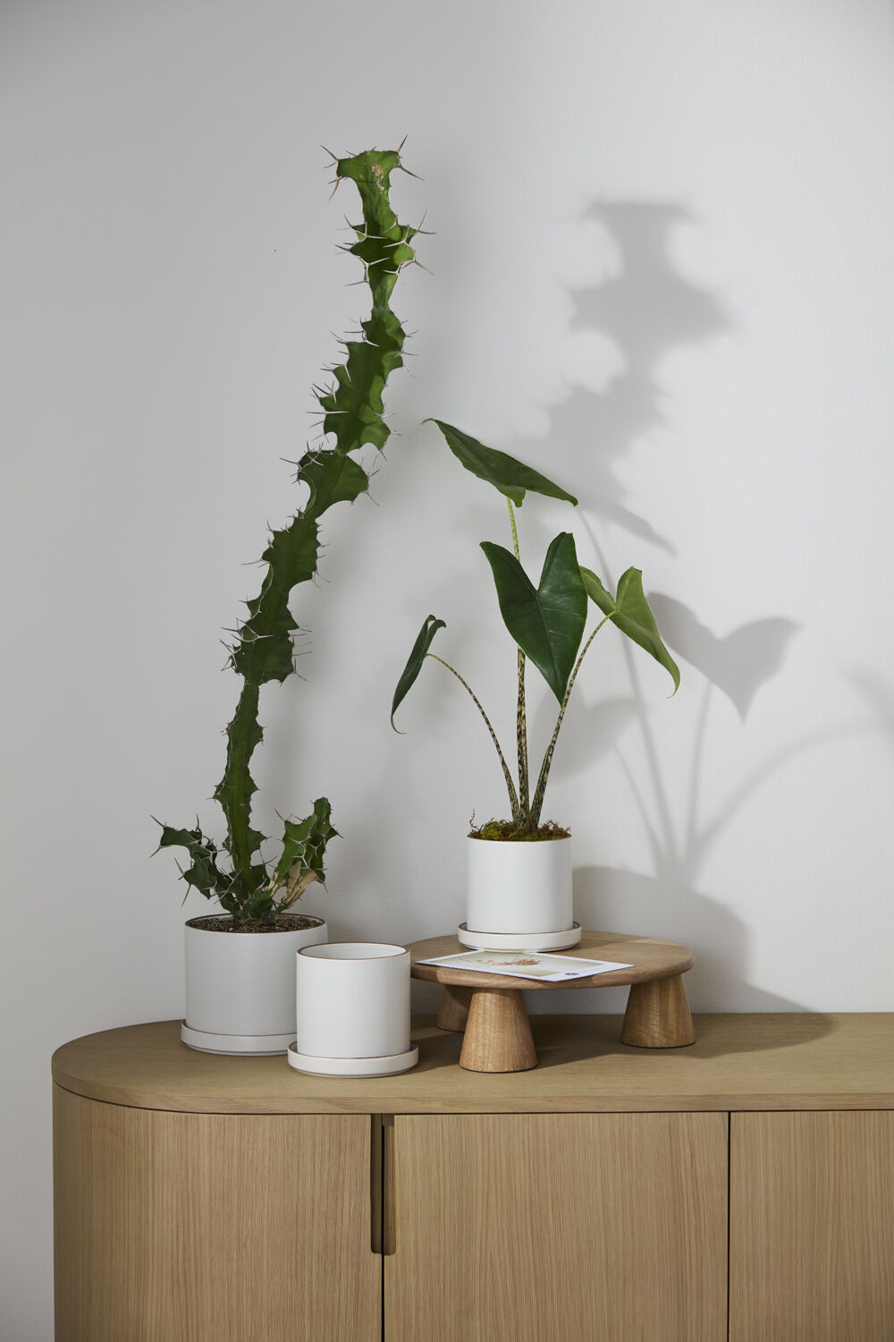 Author White Planter with Drainage and Tray | 5 Inch Diameter