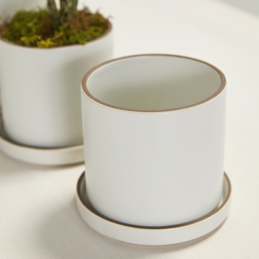 Author White Planter with Drainage and Tray | 5 Inch Diameter