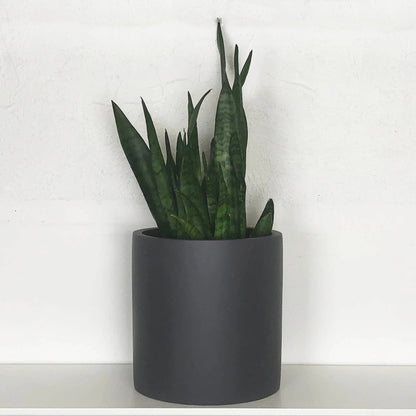 Essential Cylinder Planter | Fits up to 14" Nursery Pot