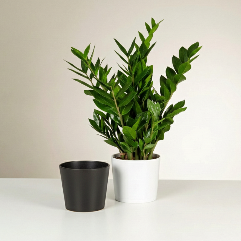 Modern Ceramic Cylinder Pot | 10 Inch Nursery Pot