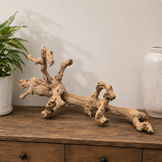 Sandblasted Grapewood Branch | 2ft