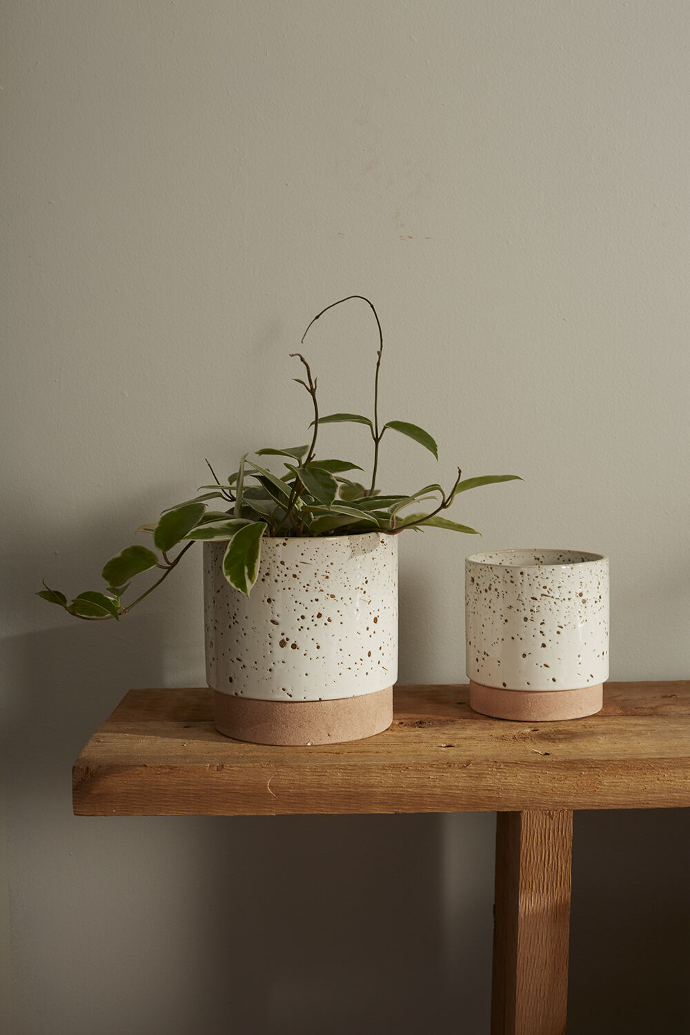 Briar Speckled Planter with Drainage and Tray | 6 Inch Diameter