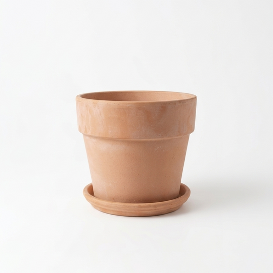 Calima Terracotta Planter with Drainage and Tray | 12 inch Diameter