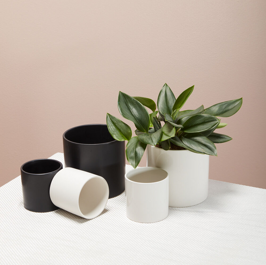 Cercle Pot | 4 inch Nursery Pot — empty planter, studio photo — planter for sale by Promise Supply for delivery and pickup in Toronto.