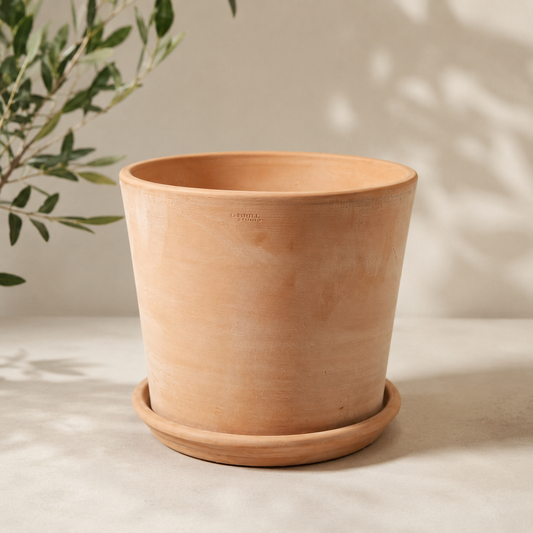 Clay Bleached Cylinder Planter with Drainage and Tray | 12 inch Diameter