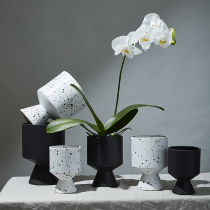 De Vil Pot | 4 inch Nursery Pot