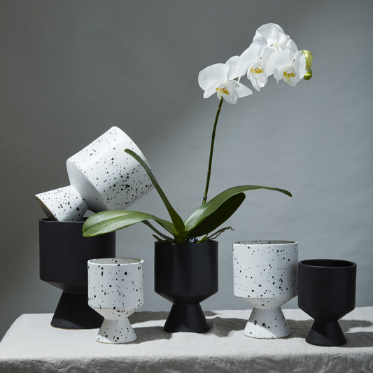 De Vil Planter | 6 inch Nursery Pot