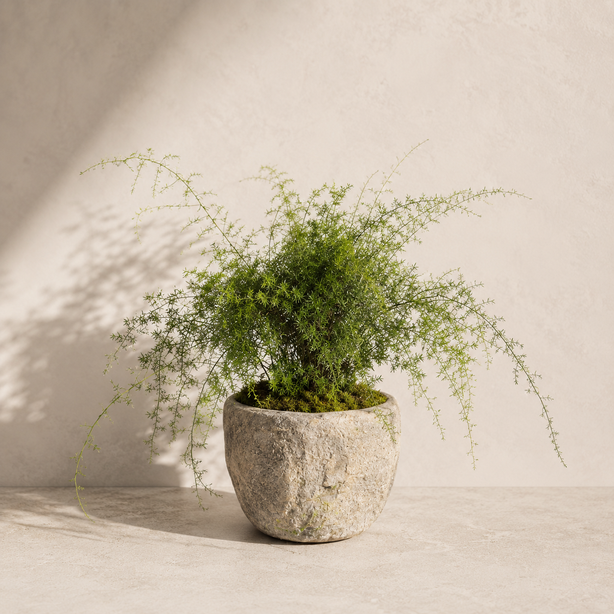 Vintage Stone Mortar Vessels | Various Sizes