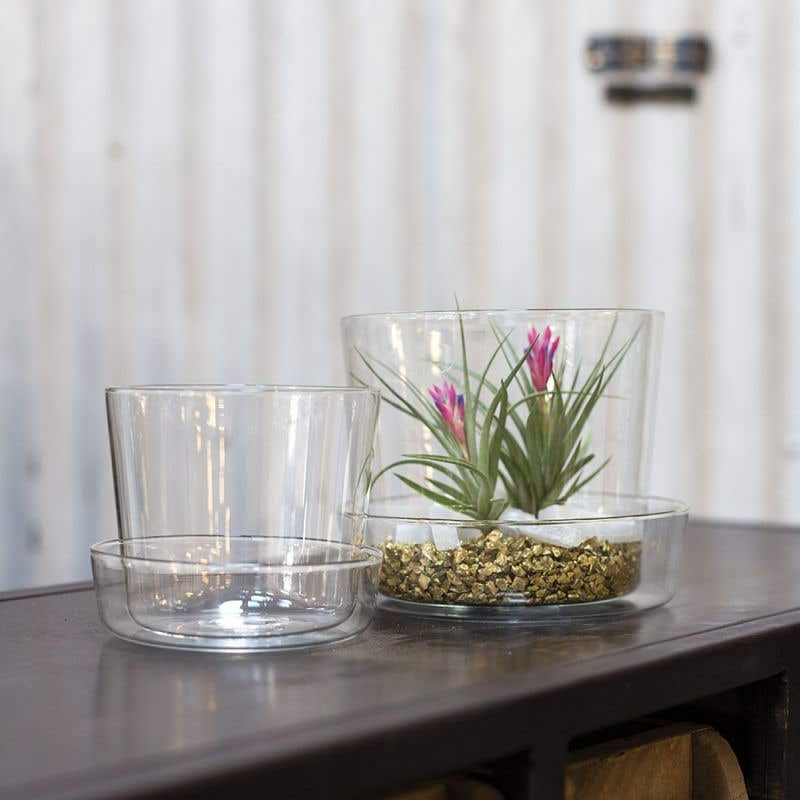 glass plant pots with drainage Glass Planter in Clear / Amber – Drainage – 6 inch – Promise Supply
