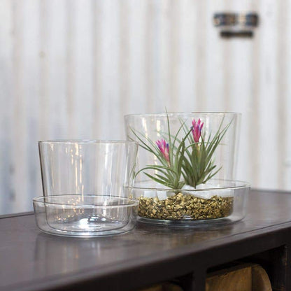 Glass Pot with Drainage and Tray | 6 inch Diameter