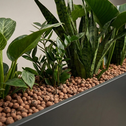 Horticultural Clay Pebbles | LECA