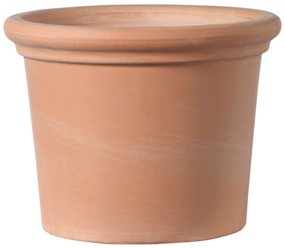 Cylinder Rim Livorno Bleached Clay Planter with Drainage in 17.7 inch Diameter