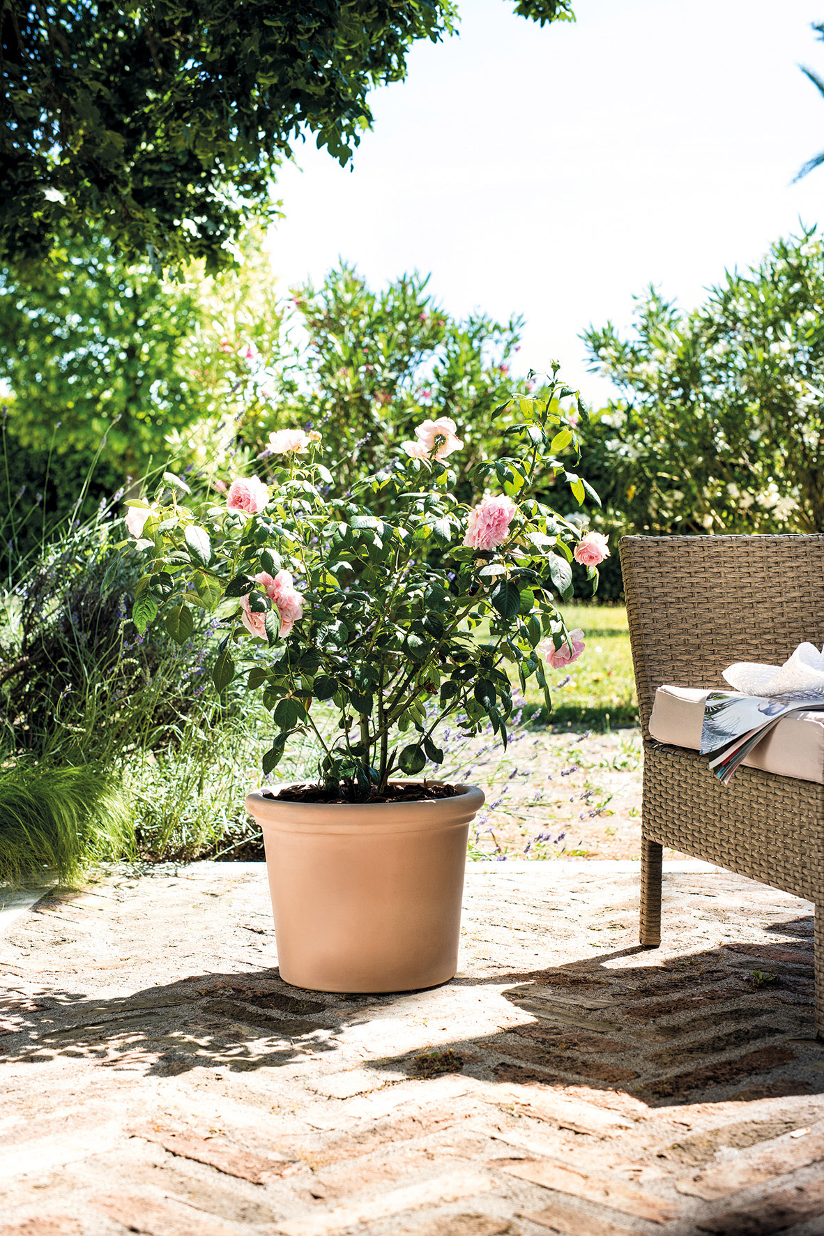 Cylinder Rim Livorno Bleached Clay Planter with Drainage in 17.7 inch Diameter