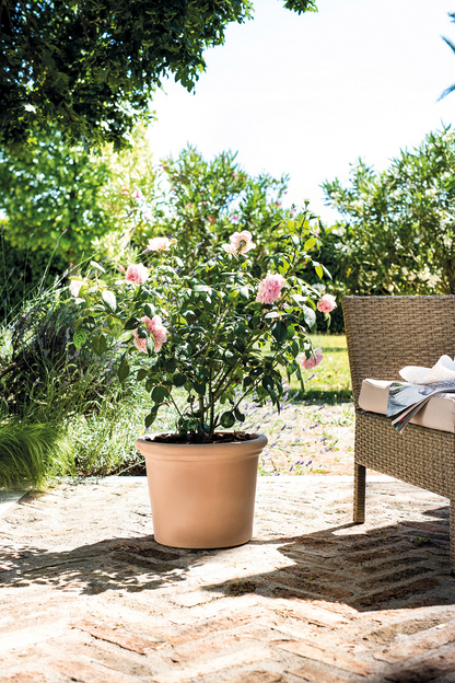 Cylinder Rim Livorno Bleached Clay Planter with Drainage in 17.7 inch Diameter