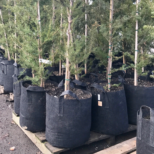 Root Pouch: Grow Bag — empty planter, studio photo — planter for sale by Promise Supply for delivery and pickup in Toronto.