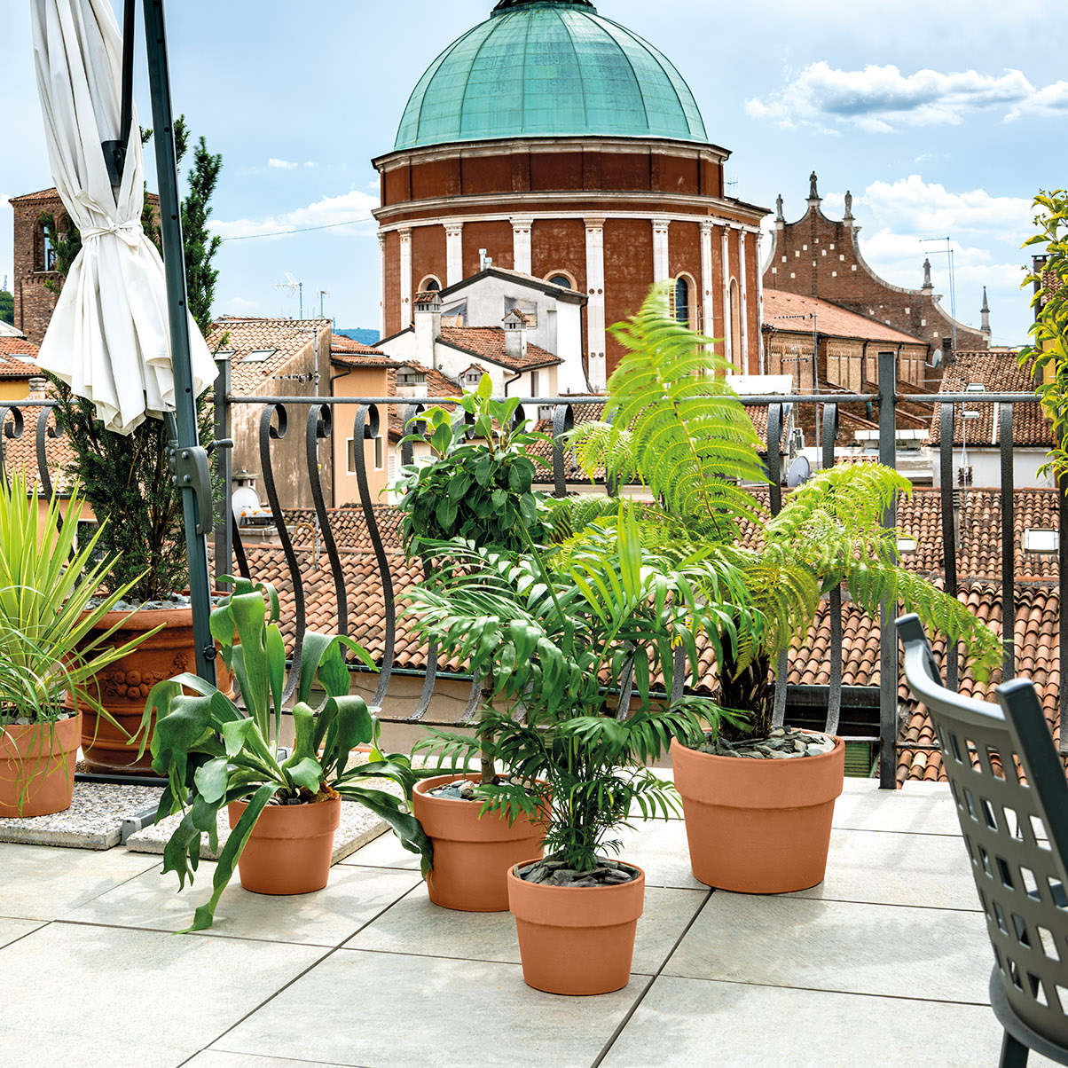 Terracotta Perfetto Planter with Drainage in 10 inch Diameter
