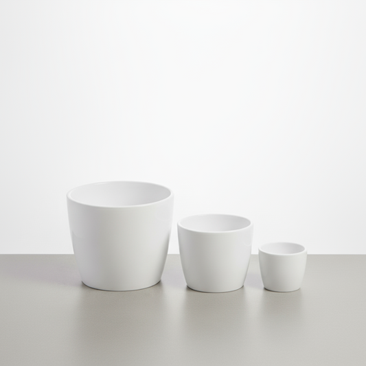 Marlow Planter | 6 inch Nursery Pot