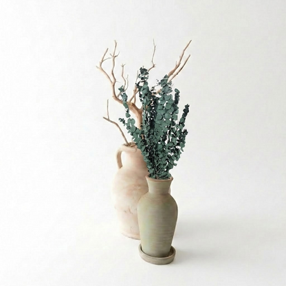 Preserved Eucalyptus Bundle | 8oz
