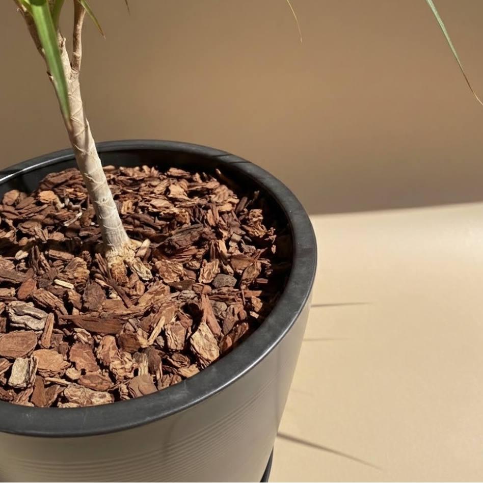 rchid Bark (4 Quarts) — for sale by Promise Supply for delivery and pickup in Toronto.