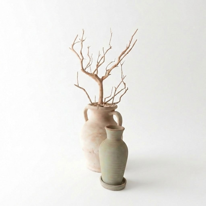 Sandblasted Manzanita Branch | 4ft