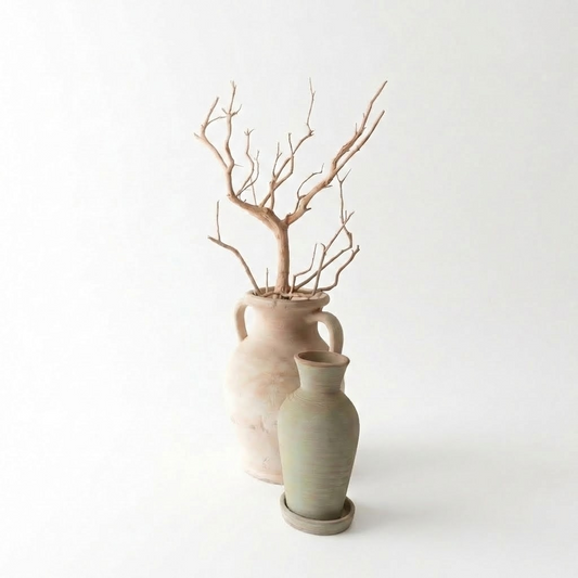 Sandblasted Manzanita Branch | 4ft