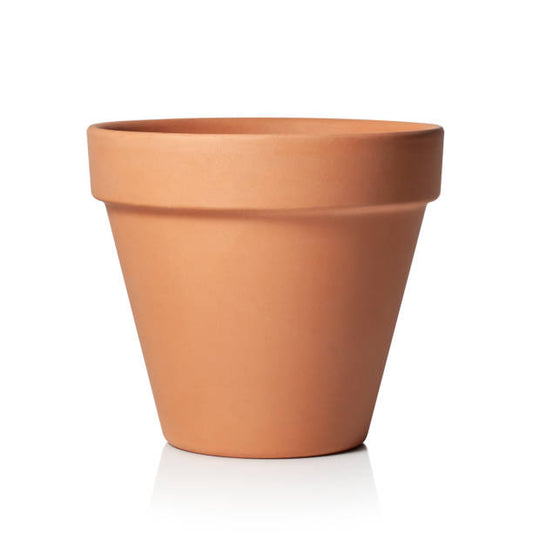 Standard Clay Planter with Drainage and Tray in 3 inch Diameter