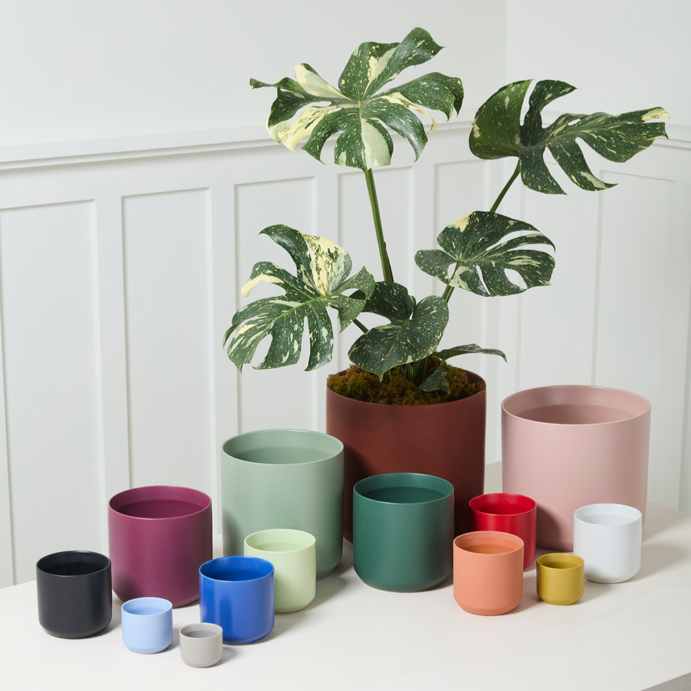 Kendall Ceramic Pot | 8 inch Nursery Pot