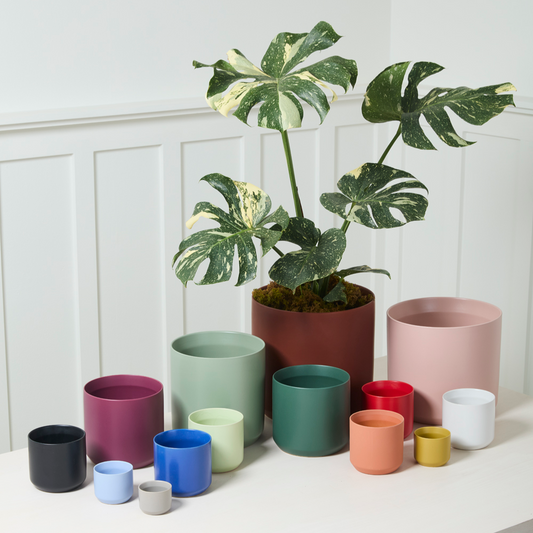 Kendall Ceramic Pot | 8 inch Nursery Pot