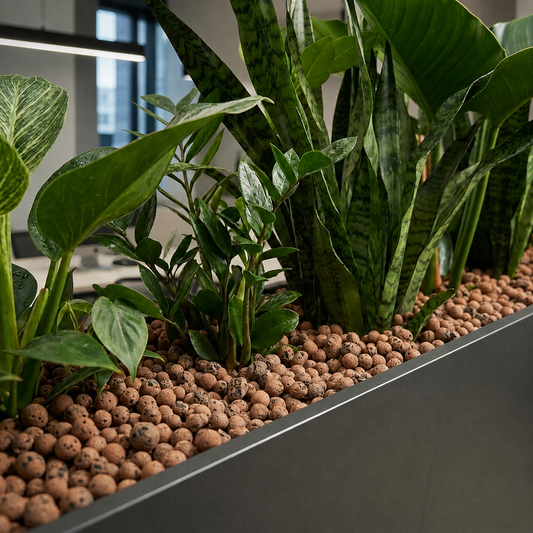 Horticultural Clay Pebbles | LECA