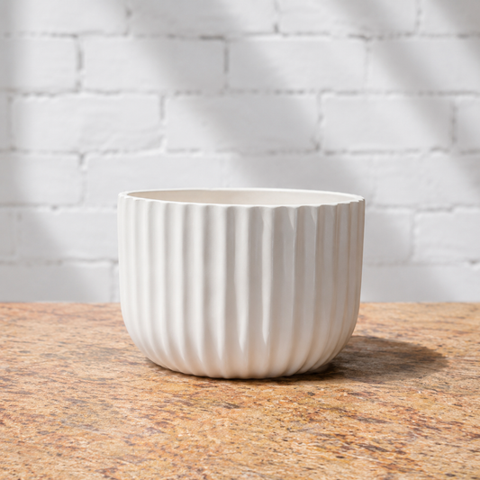 White Low Bowl Ceramic Pot | 5 inch Nursery Pot