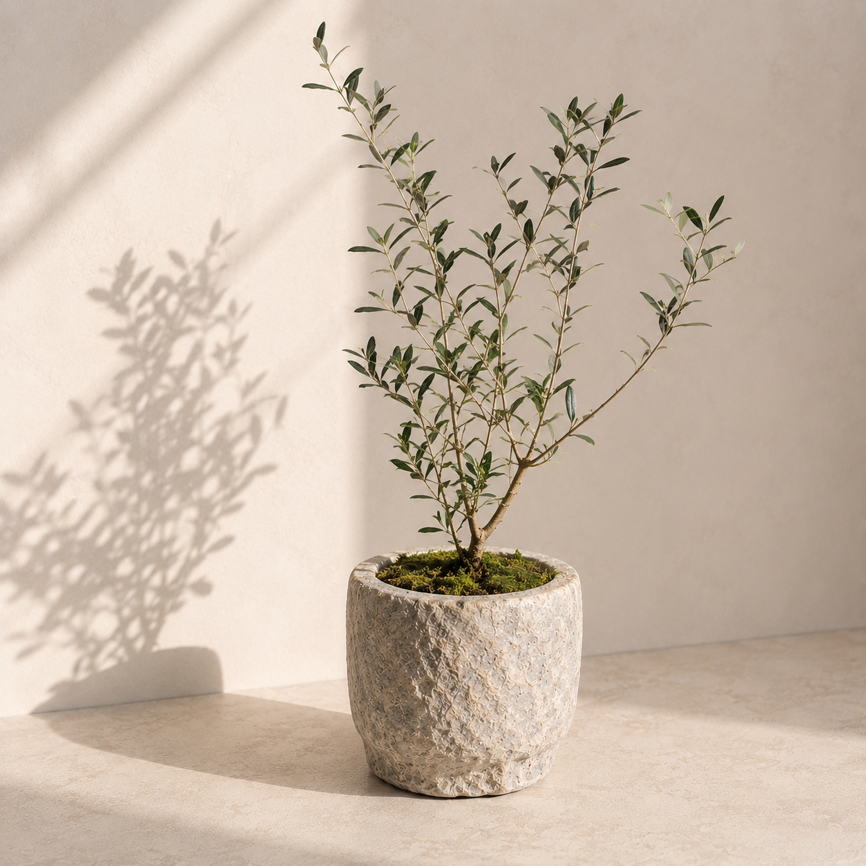 Vintage Stone Mortar Vessels | Various Sizes