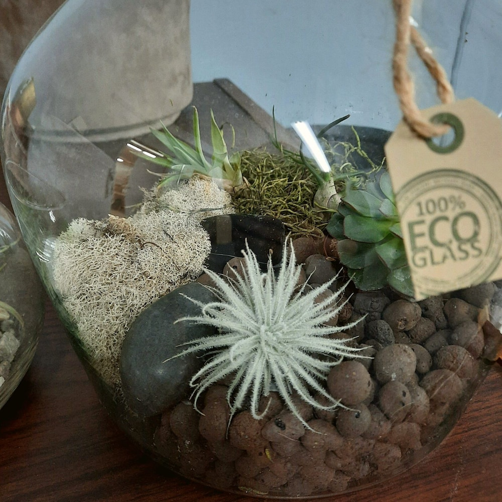 Horticultural Clay Pebbles | LECA