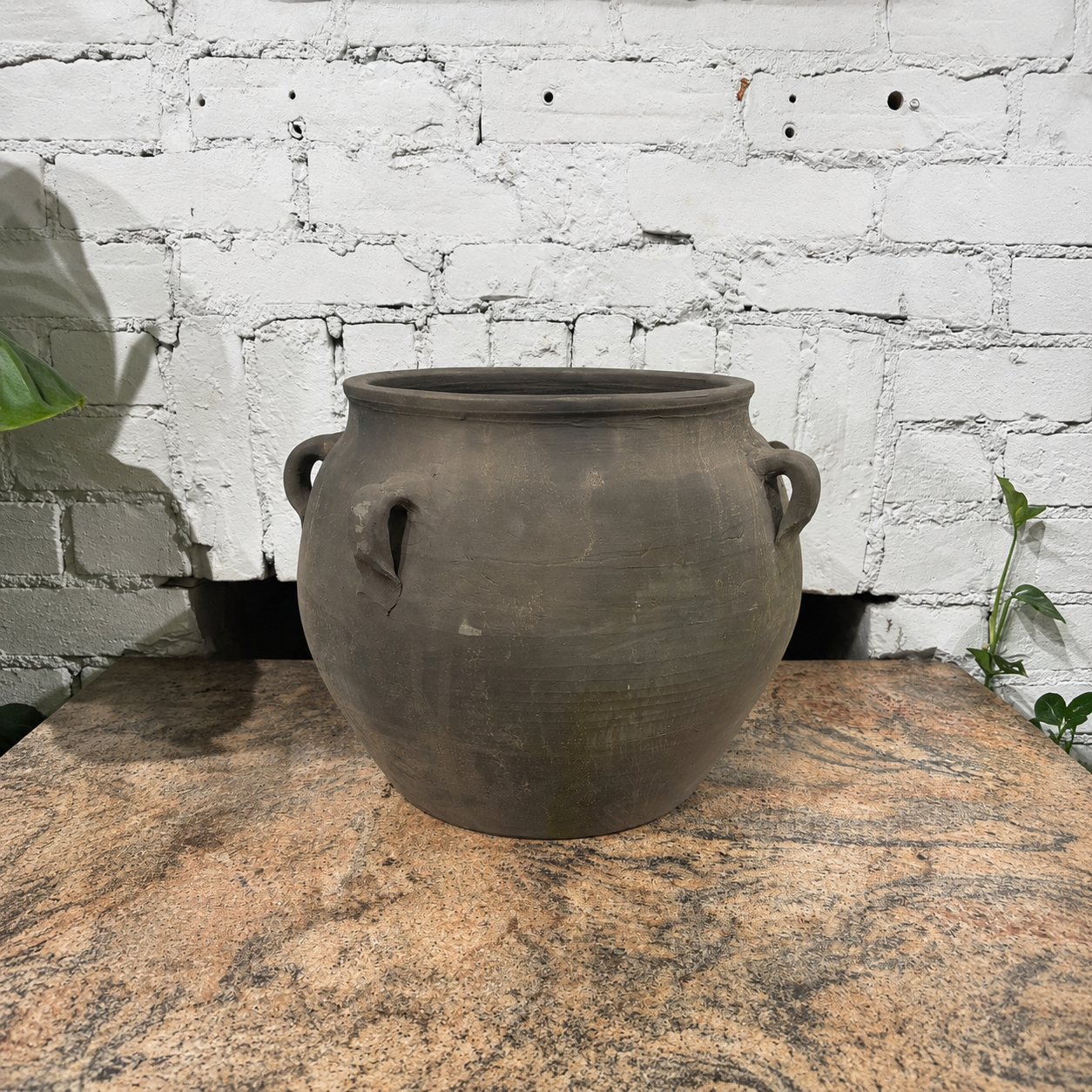 Vintage Louis IV Pithos | 12 Inch Diameter