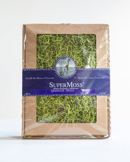 Preserved Spanish Moss 16oz "Green" Decorative Moss