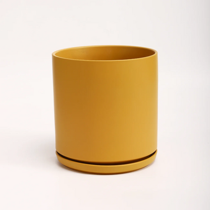 The Ten Ceramic Cylinder Planter with Drainage and Tray | 10 inch Nursery Pot