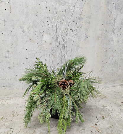 Winter Planter Arrangement - 10 inch Pot