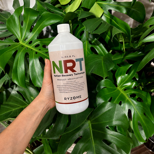 Ryzome Liquid Fertilizer: 11-4-4 in 1L