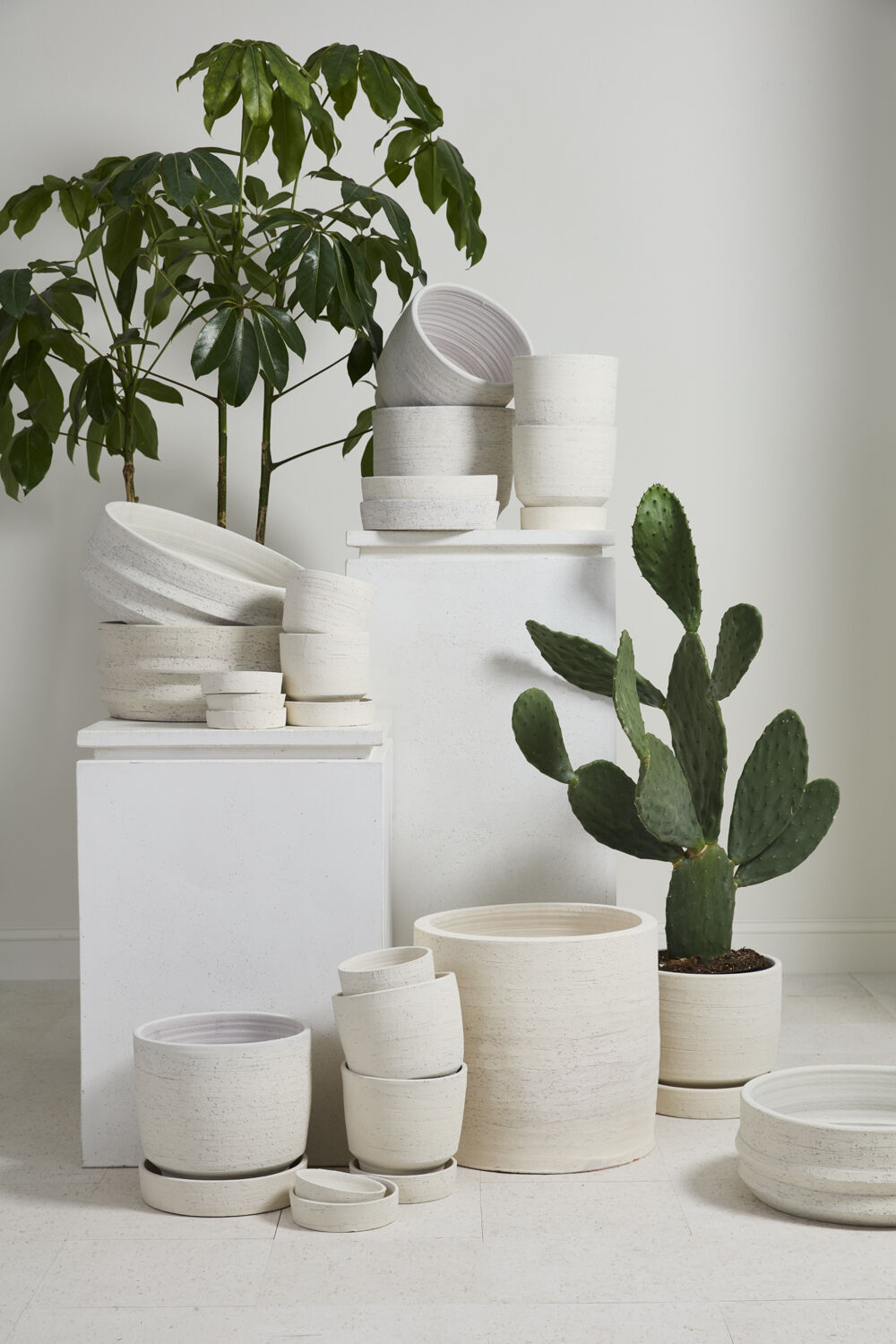 Salvage Natural Planter with Drainage and Tray | 10 Inch Diameter