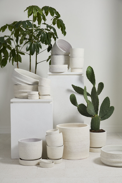 Salvage Natural Planter with Drainage and Tray | 10 Inch Diameter