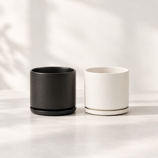 The Six Ceramic Cylinder Planter with Drainage and Tray | 6 inch Diameter
