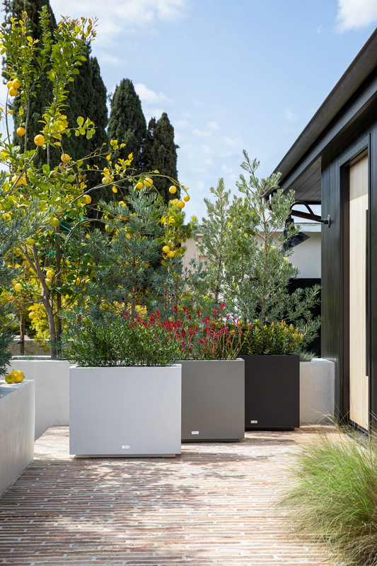 Block Span Planter | Medium — empty planter, studio photo — planter for sale by Promise Supply for delivery and pickup in Toronto.