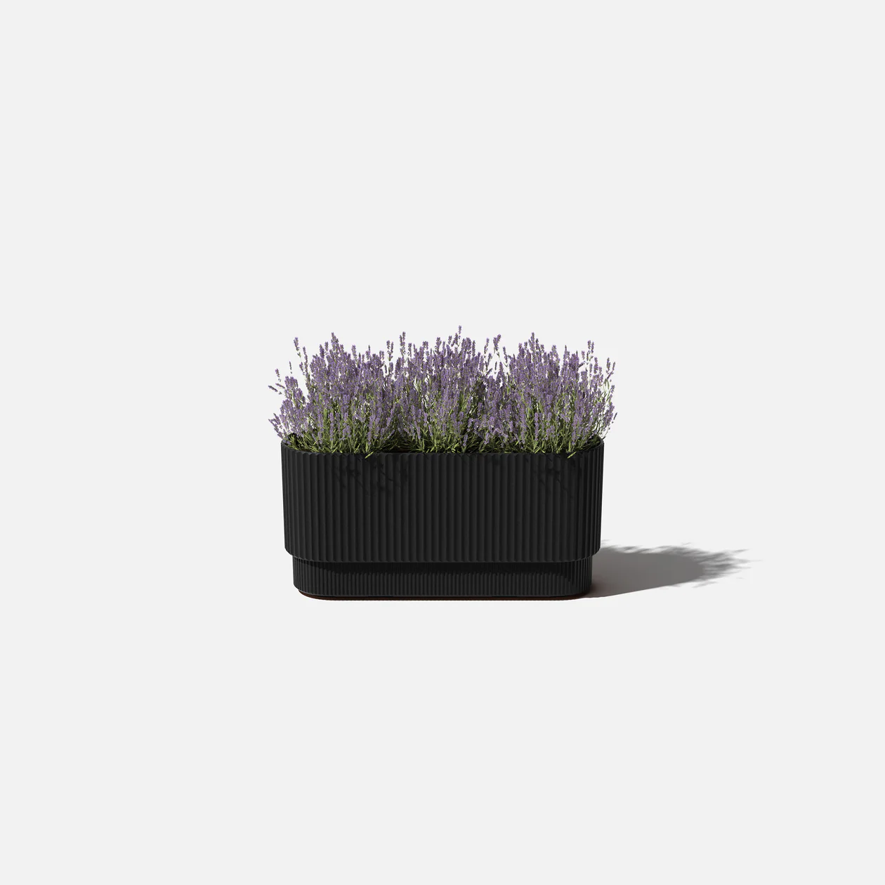 Mason Demi Long Planter | 30 inch — empty planter, studio photo — planter for sale by Promise Supply for delivery and pickup in Toronto.