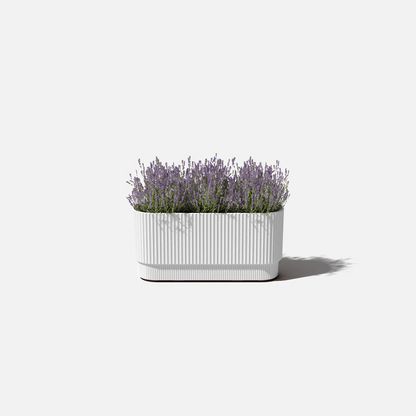 Mason Demi Long Planter - 30 inch