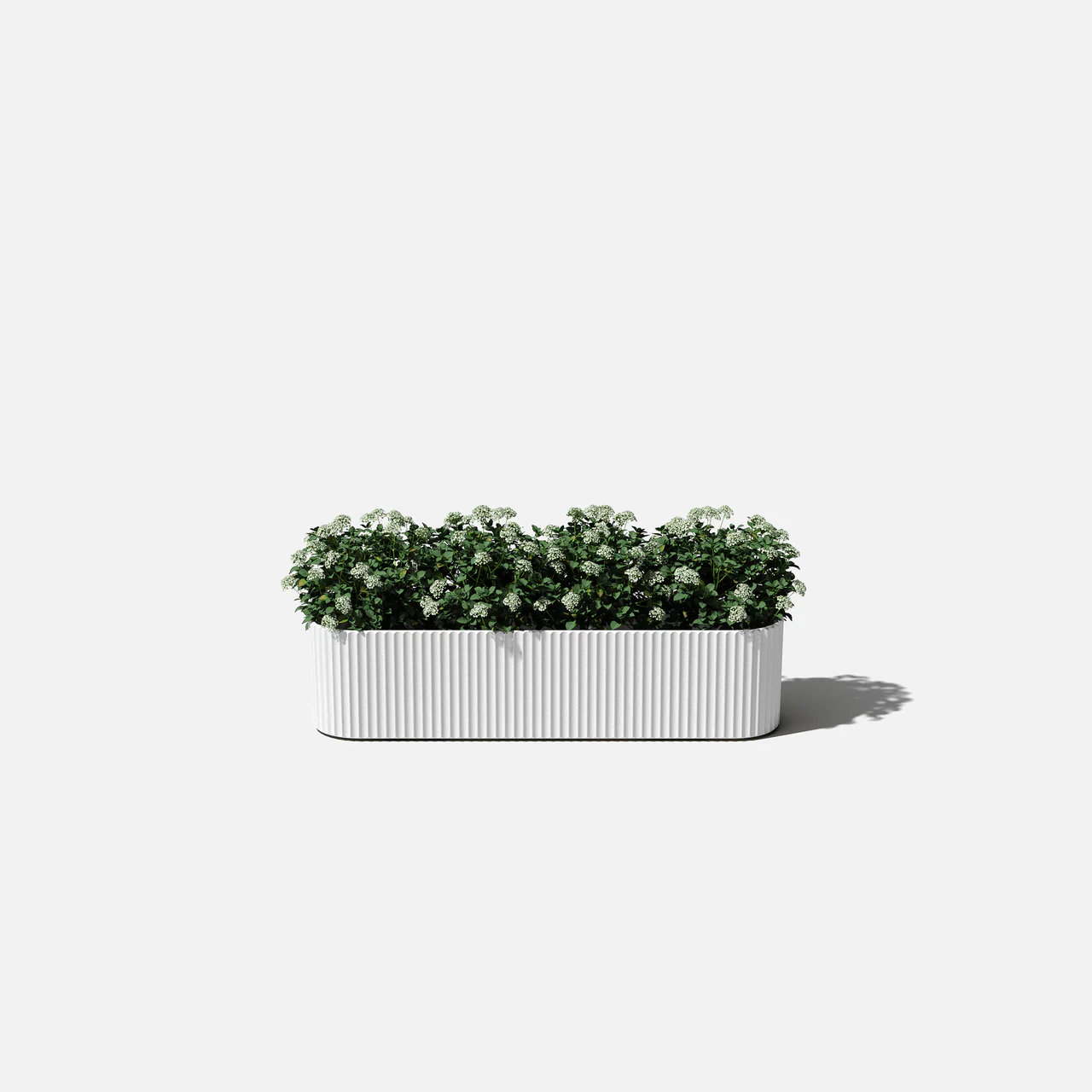 Mason Demi Window Box Planter | 36 inch