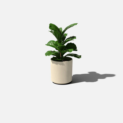 Mason Demi Planter | 16 inch