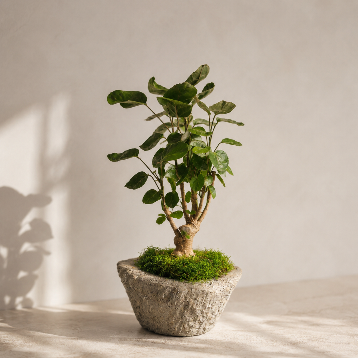 Vintage Stone Mortar Vessels | Various Sizes