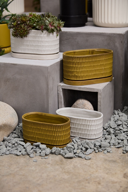 Zelle Ochre Trough Planter with Drainage and Tray | 7 x 3.25 Inches