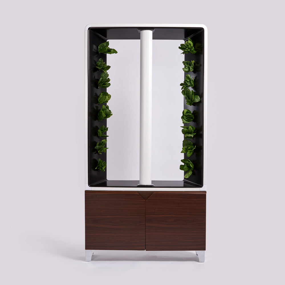 Just Vertical AEVA: Automatic Hydroponic Indoor Herb and Vegetable Garden