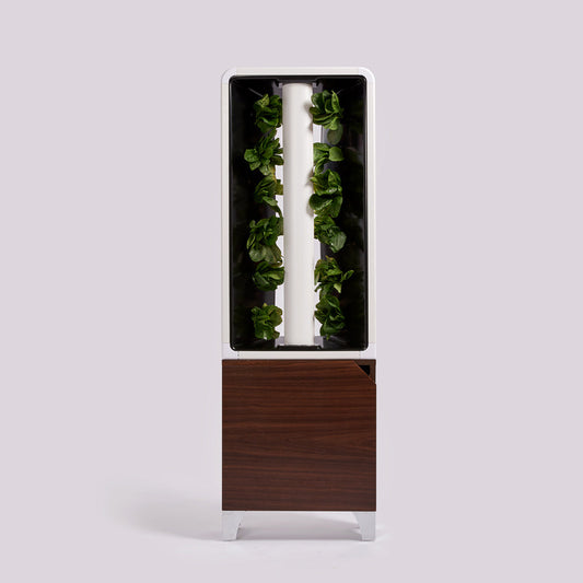 Just Vertical EVE: Automatic Hydroponic Indoor Herb and Vegetable Garden