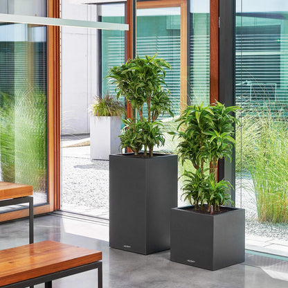 LECHUZA CANTO Stone High Poly Resin Tall Floor Planter